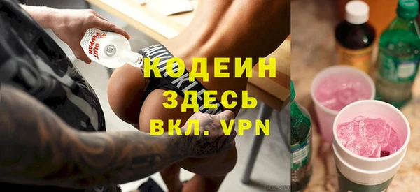 дживик Снежногорск