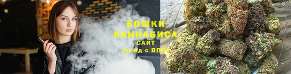 крисы Слюдянка