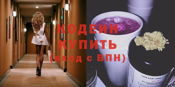 дживик Снежногорск