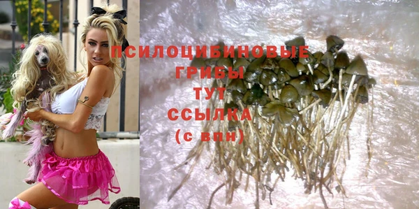 спайс Снежинск