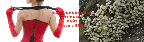 таблы Нея