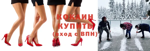 дживик Снежногорск