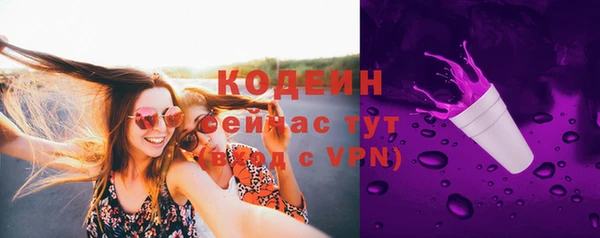 крисы Слюдянка