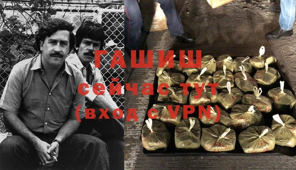 дживик Снежногорск