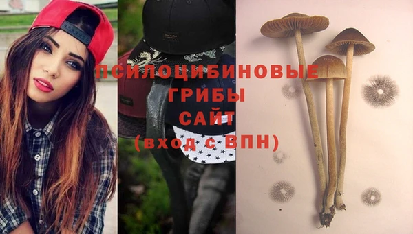 крисы Слюдянка