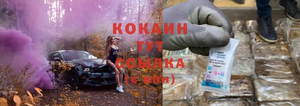 крисы Слюдянка