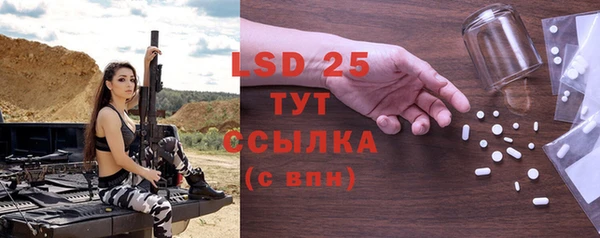 дживик Снежногорск