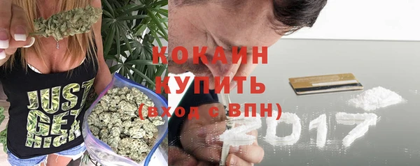 индика Елизово