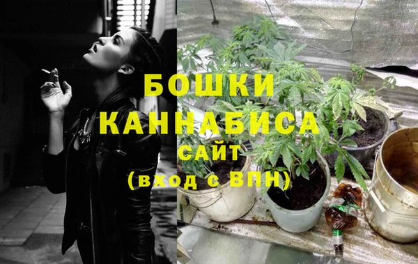 дживик Снежногорск