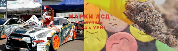 дживик Снежногорск