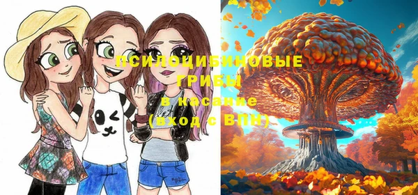 тгк Нефтекумск