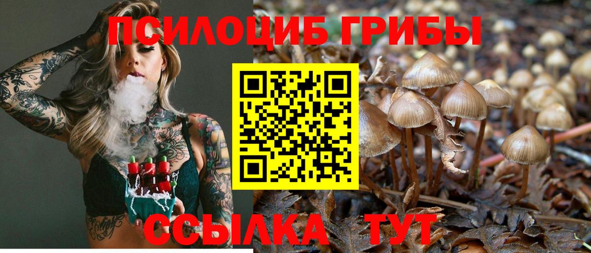 Галлюциногенные грибы MAGIC MUSHROOMS  наркотики  Псилоцибиновые грибы GOLDEN TEACHER  Азнакаево  Вход с VPN 