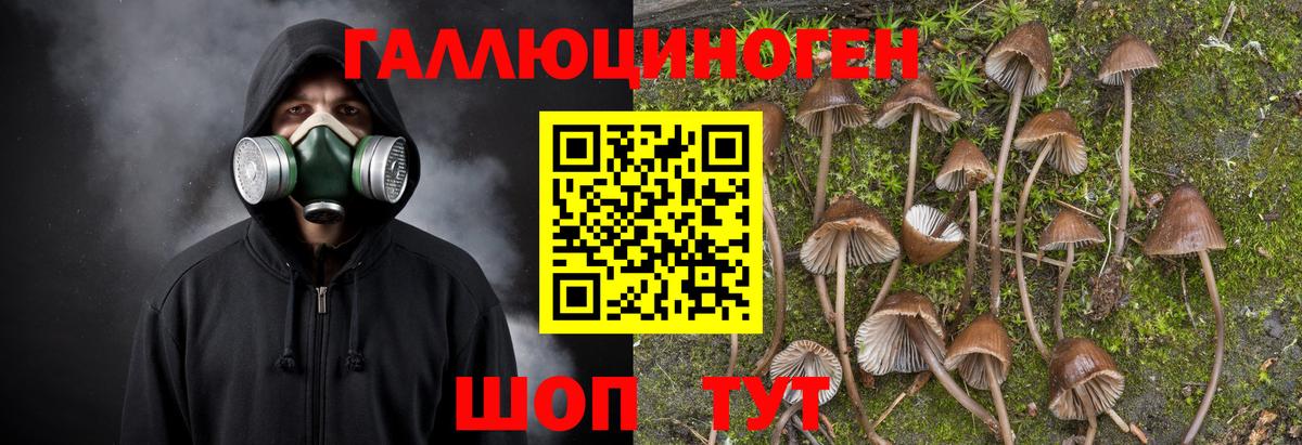 Галлюциногенные грибы мухоморы Азнакаево