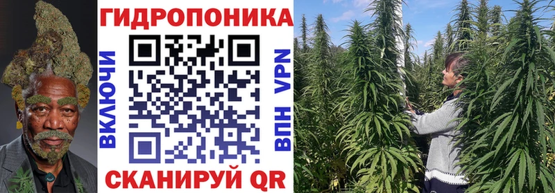 кракен как зайти  Азнакаево  Марихуана OG Kush 