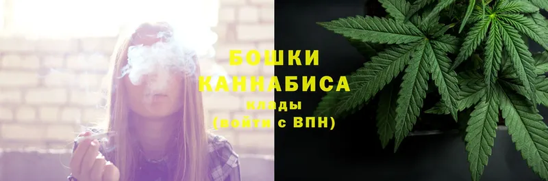 Каннабис Amnesia Азнакаево